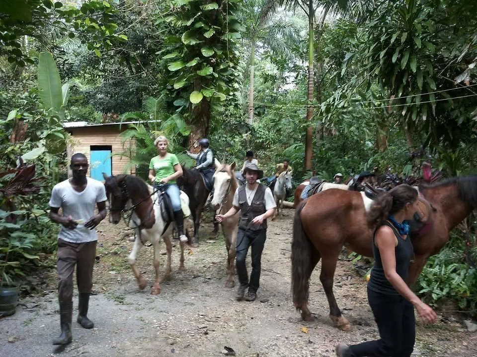 Ecotopía Park Las Terrenas Chata
